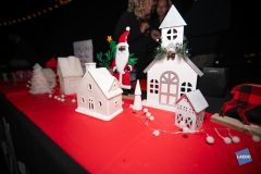 BoardofGovernorsMeetingWinterMixer-5