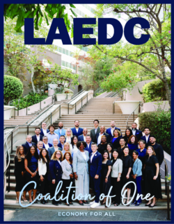 LAEDC: An Internal Reflection