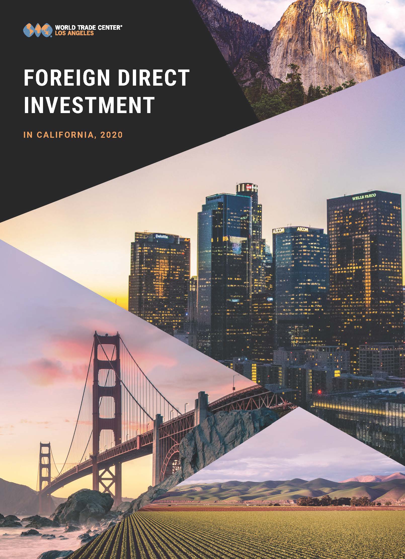 WTCLA 2020 Foreign Direct Investment (FDI) Report