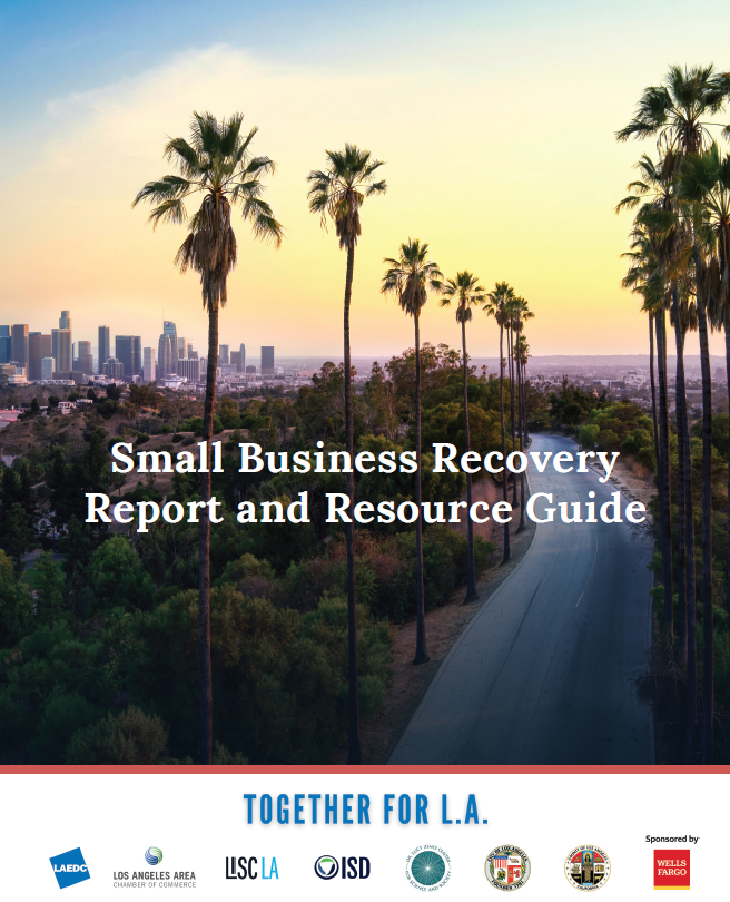 Small Business Recovery Report and Resource Guide